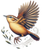transparent wren header logo e1715138426936